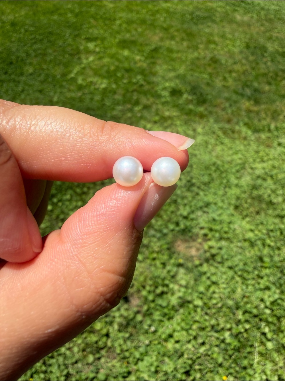 10k Gold  White Pearl Stud Earrings 5mm